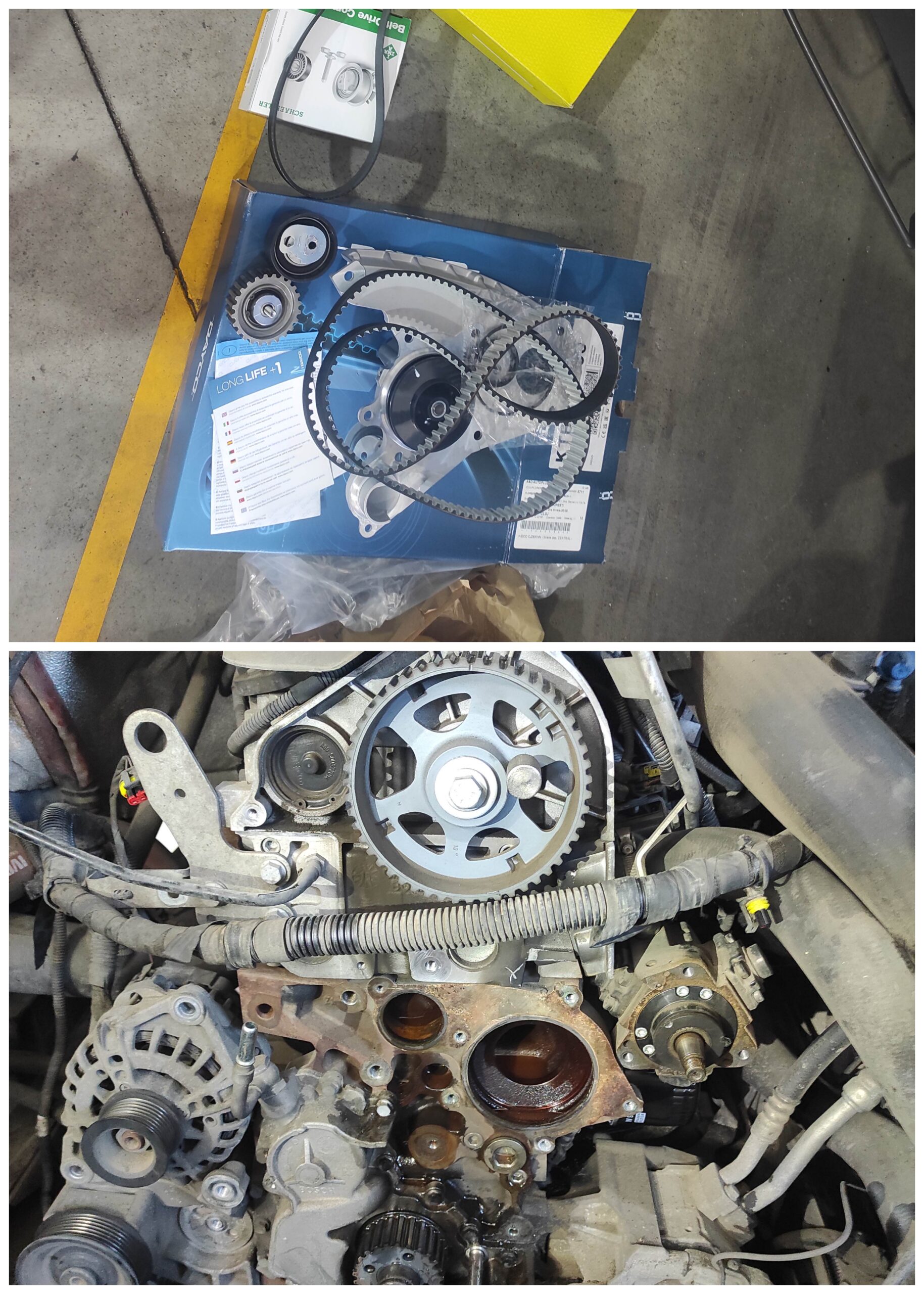 IVECO 2,3D - KIT DISTRIBUTIE